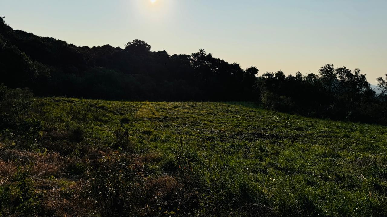 Fazenda à venda, 10000m² - Foto 9