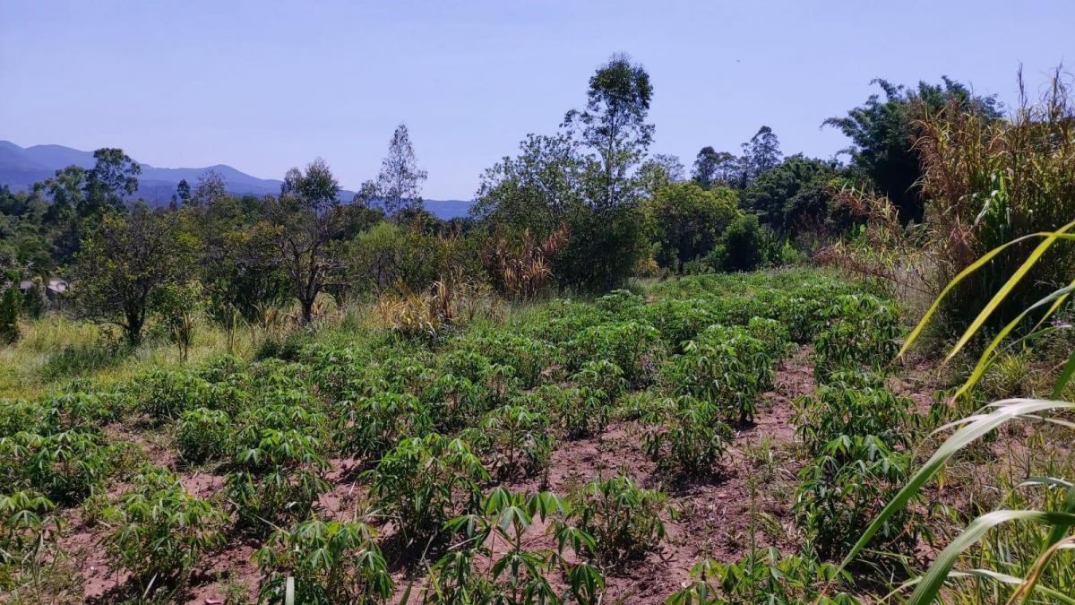 Fazenda à venda, 27317m² - Foto 8