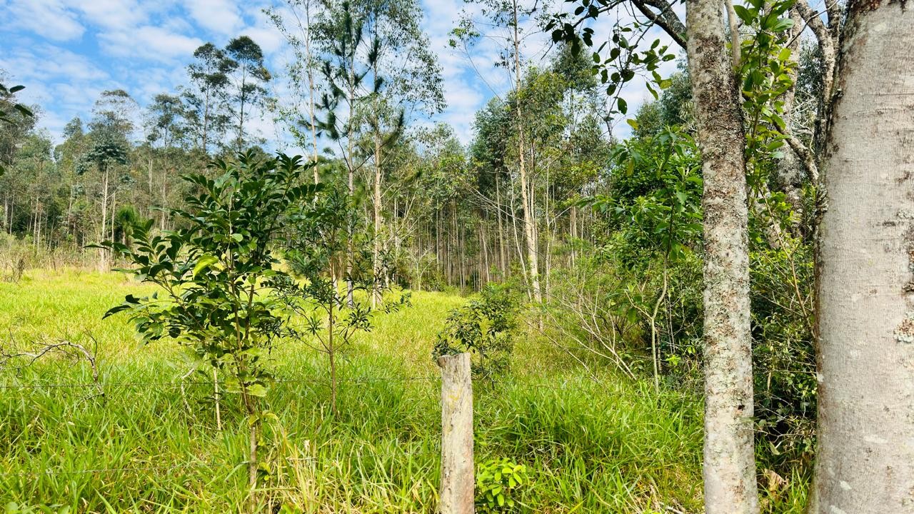 Fazenda à venda, 27317m² - Foto 13