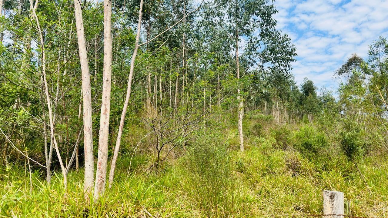 Fazenda à venda, 27317m² - Foto 14