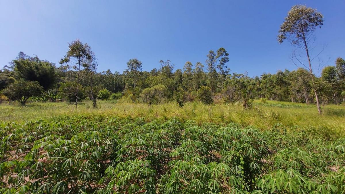 Fazenda à venda, 27317m² - Foto 6