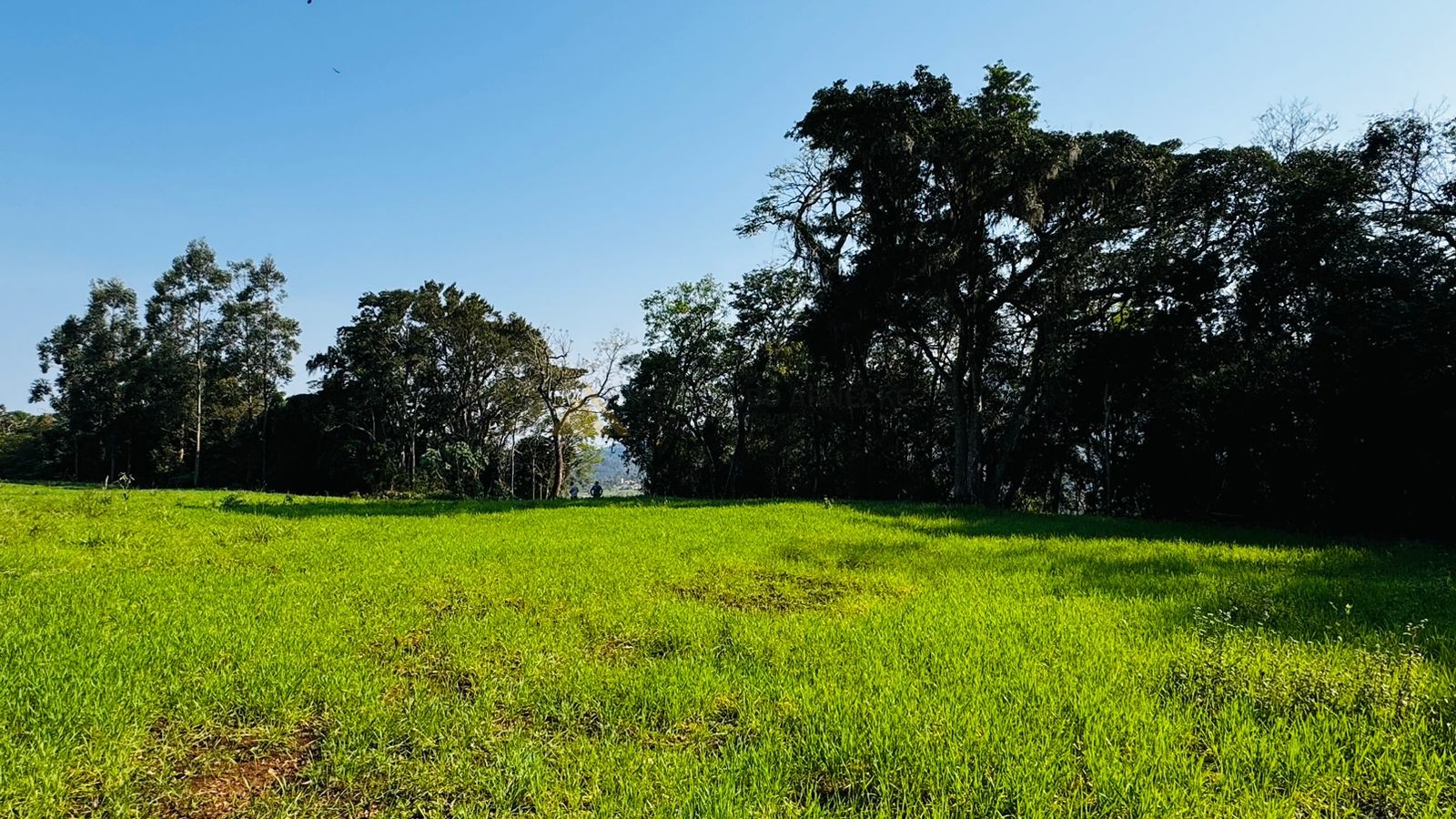 Fazenda à venda, 20000m² - Foto 11