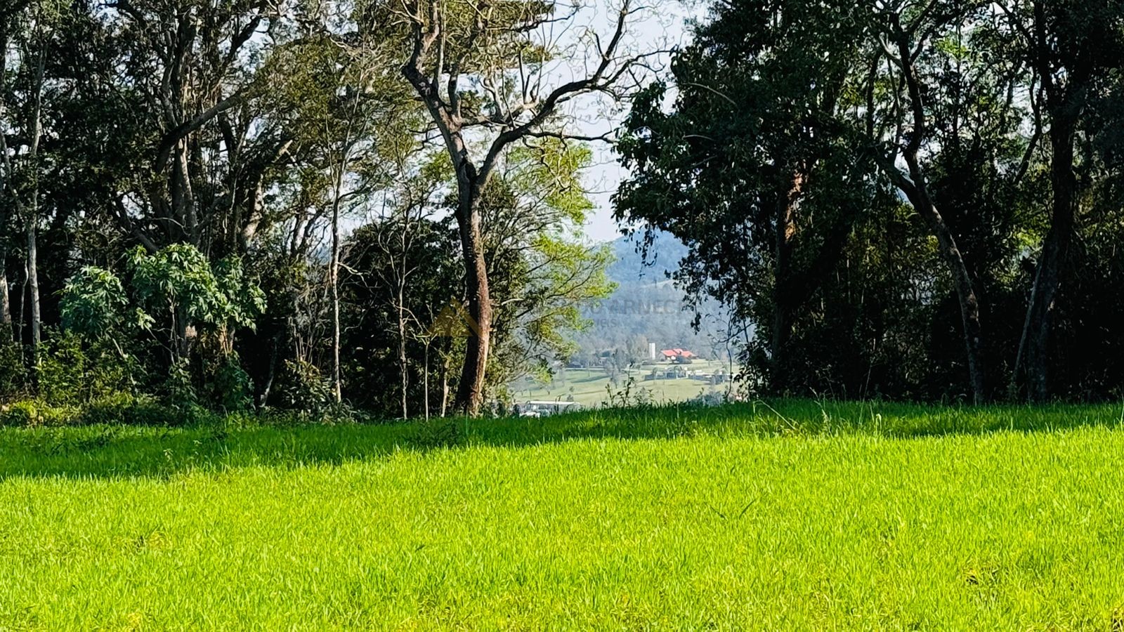 Fazenda à venda, 20000m² - Foto 3