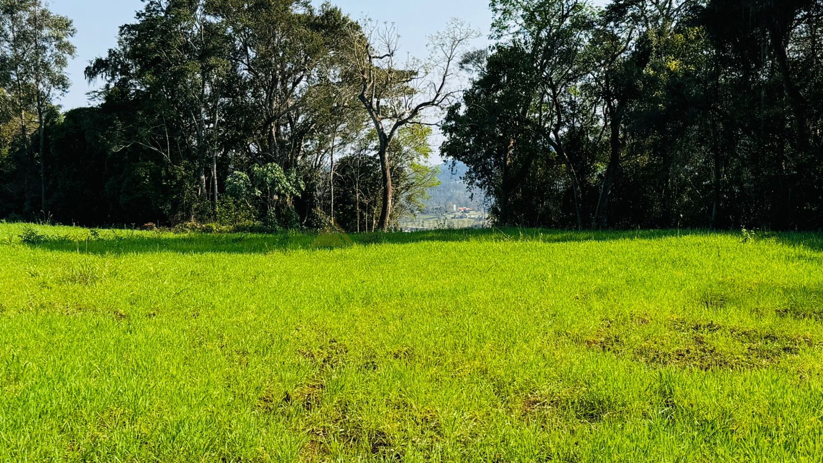 Fazenda à venda, 20000m² - Foto 4