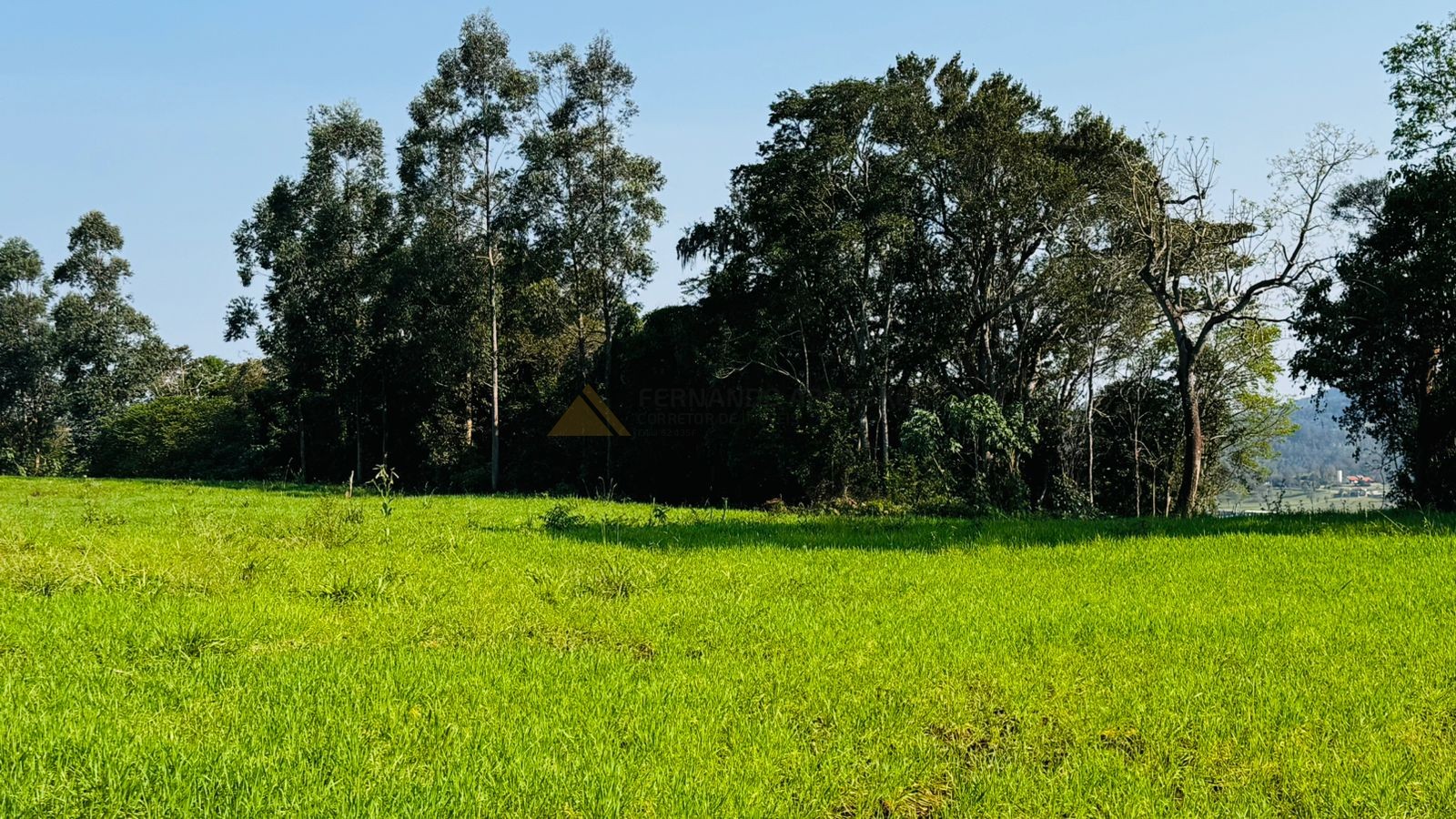 Fazenda à venda, 20000m² - Foto 5