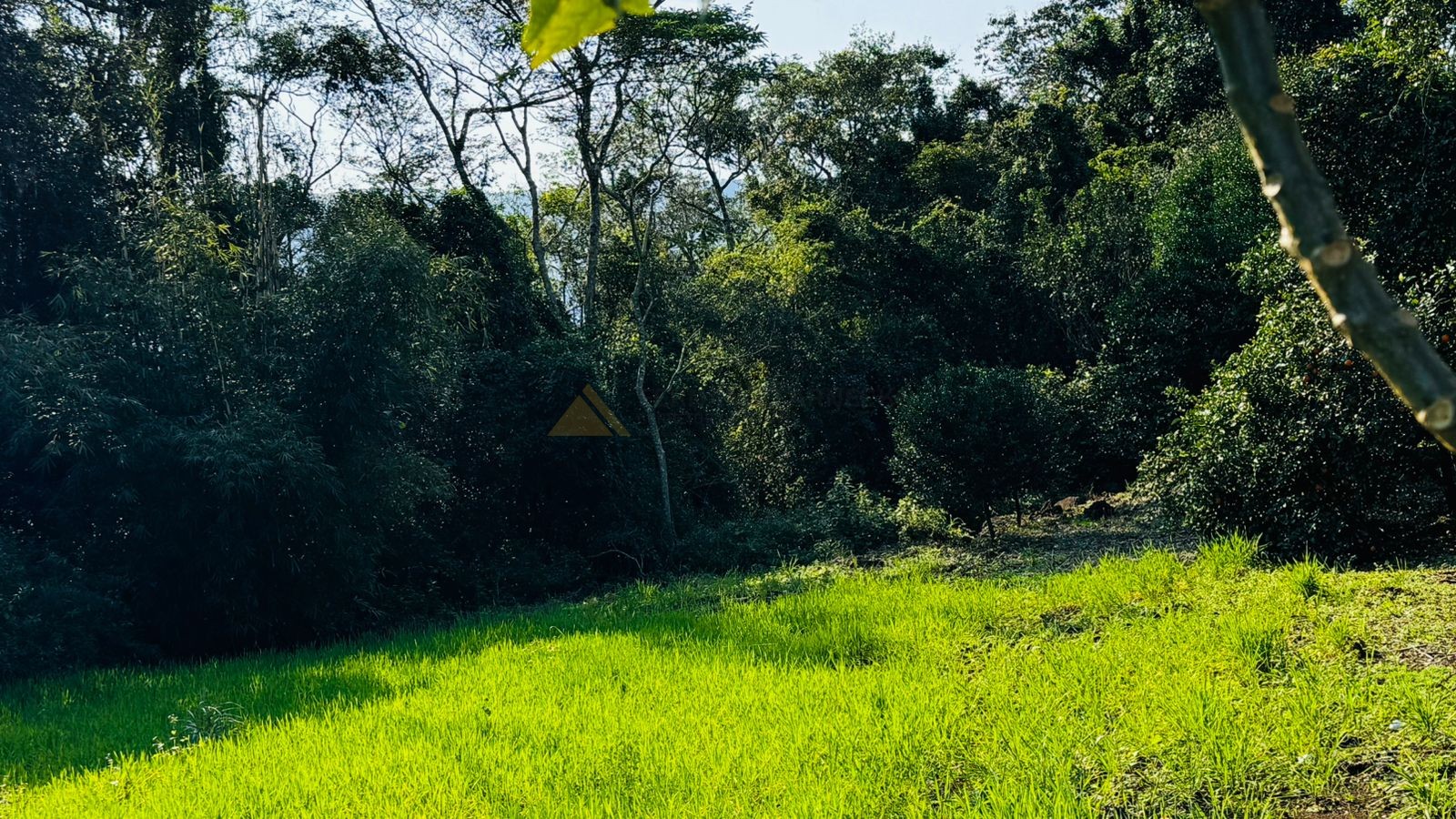 Fazenda à venda, 20000m² - Foto 6