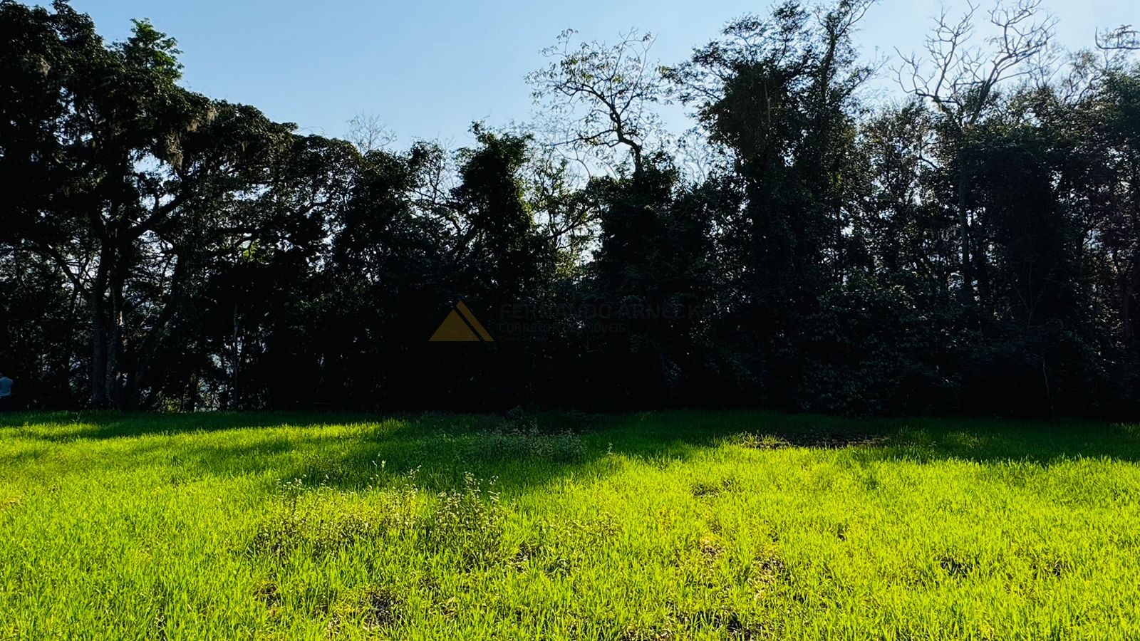 Fazenda à venda, 20000m² - Foto 7