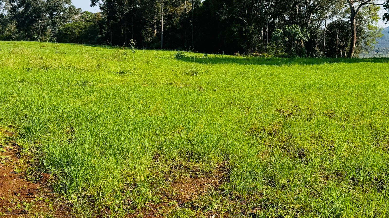 Fazenda à venda, 20000m² - Foto 8