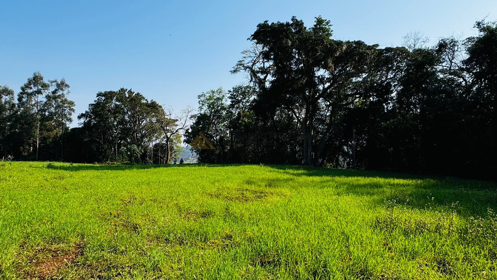 Fazenda à venda, 20000m² - Foto 9