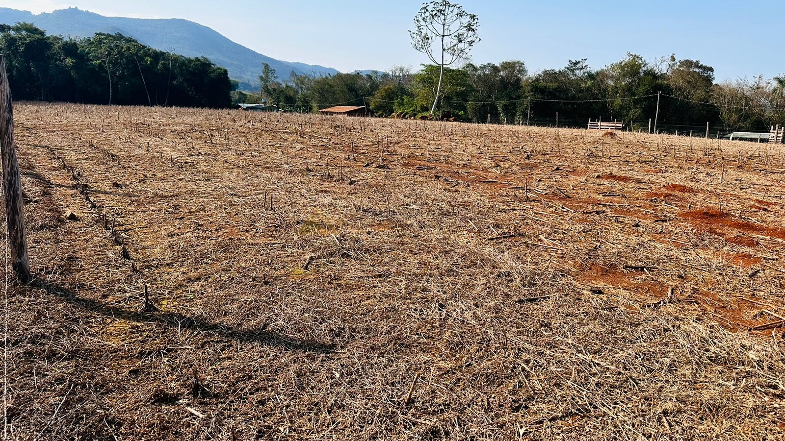 Fazenda à venda, 20000m² - Foto 1