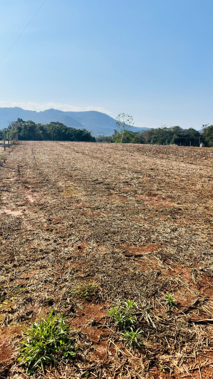 Fazenda à venda, 20000m² - Foto 10