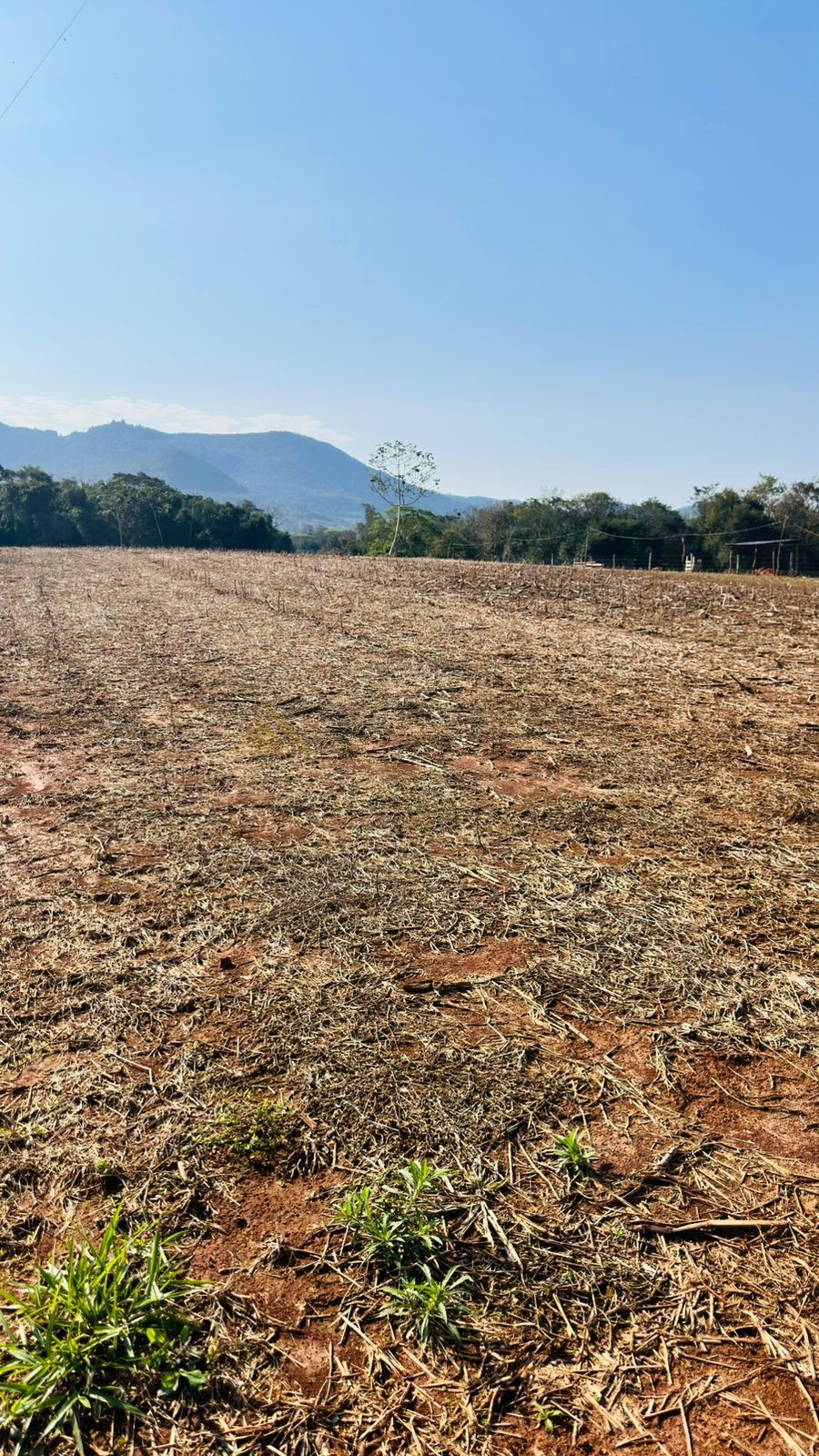 Fazenda à venda, 20000m² - Foto 12