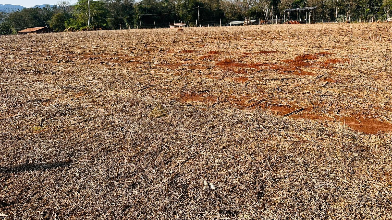 Fazenda à venda, 20000m² - Foto 3