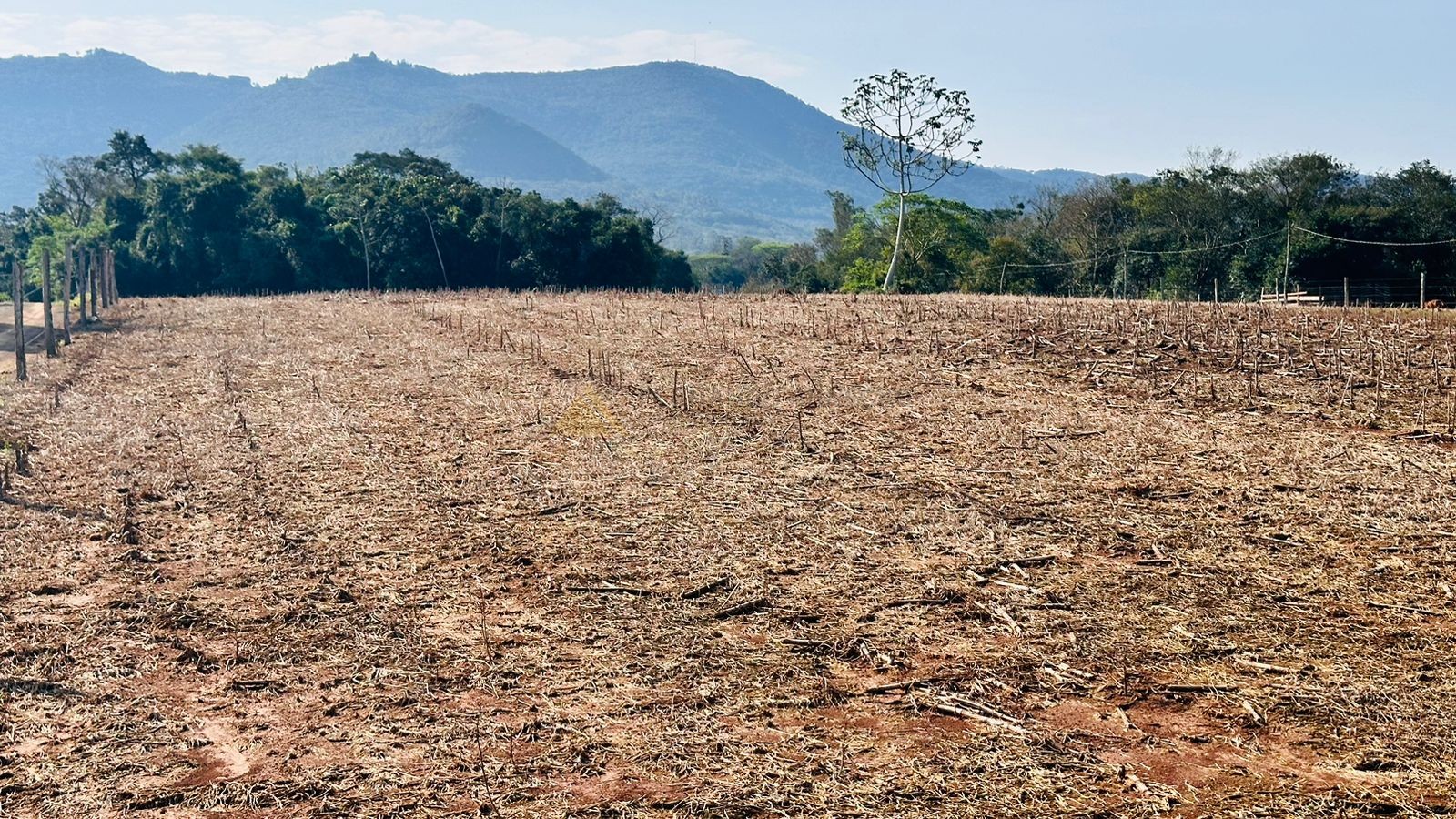 Fazenda à venda, 20000m² - Foto 4