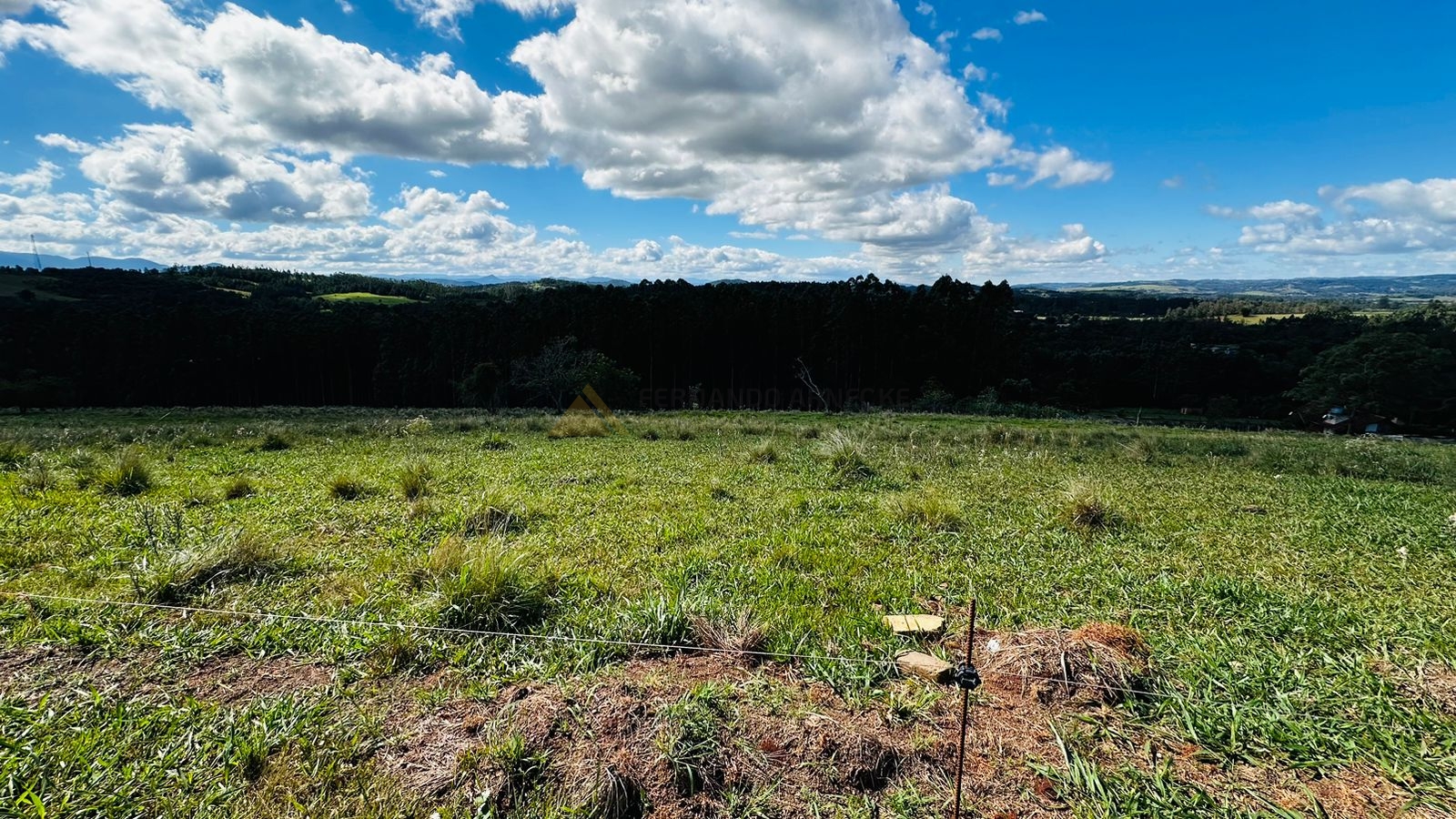 Fazenda à venda, 5000m² - Foto 1