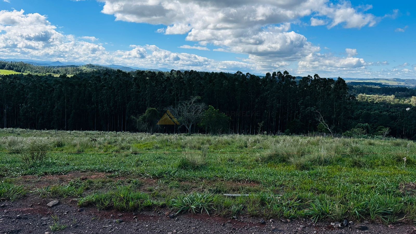 Fazenda à venda, 5000m² - Foto 11