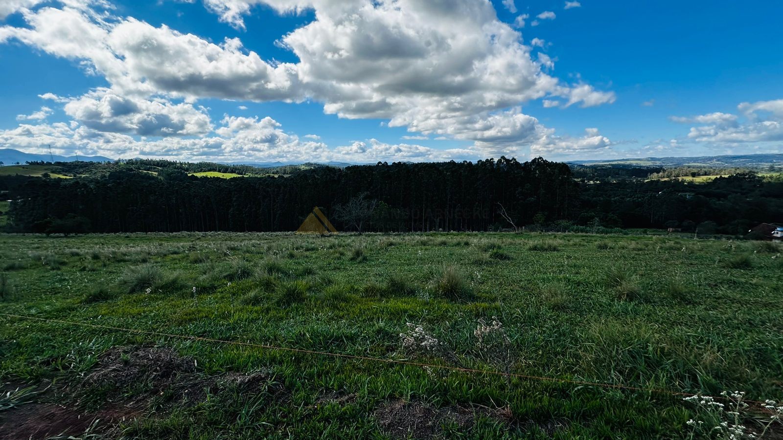 Fazenda à venda, 5000m² - Foto 4