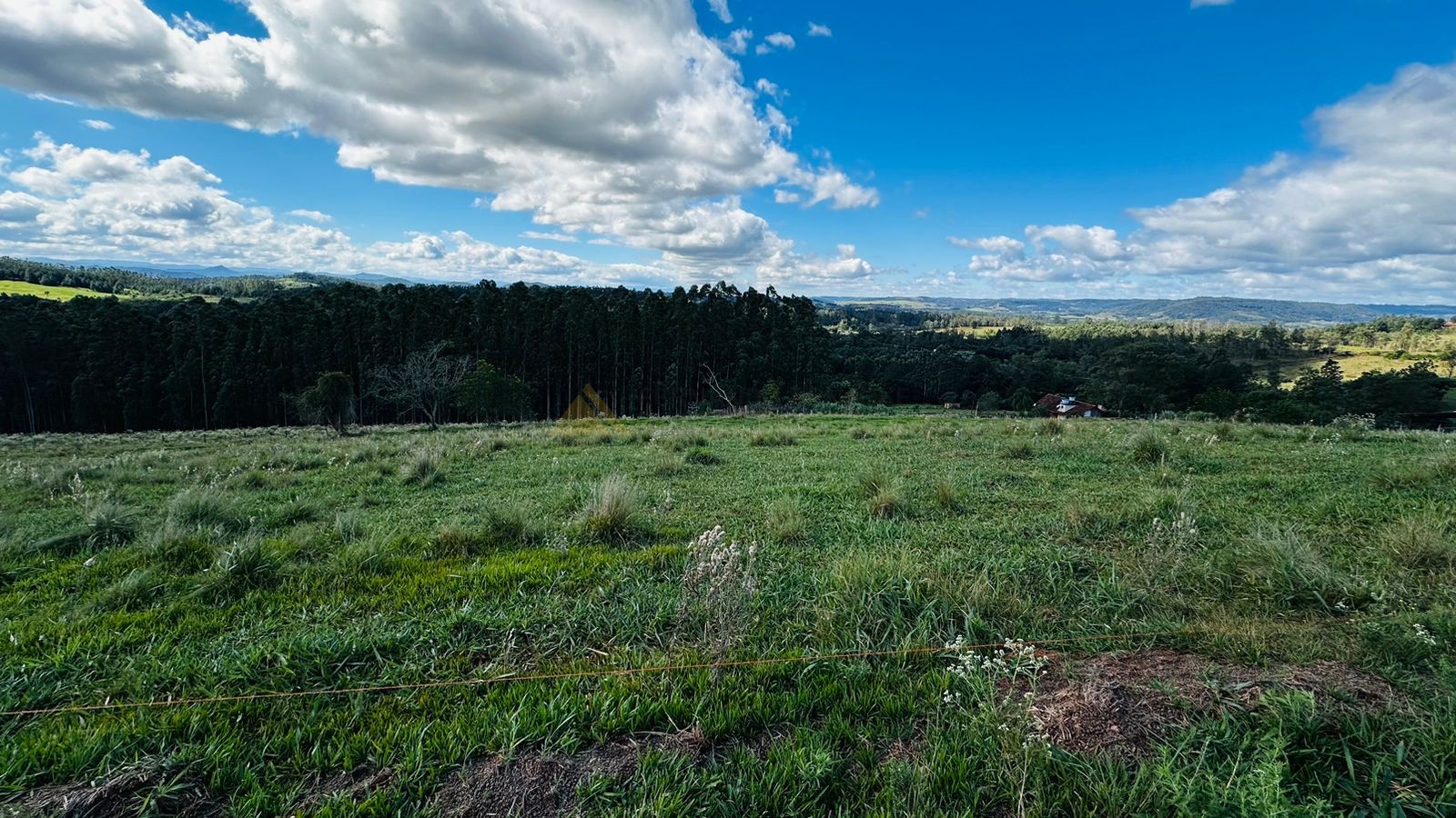 Fazenda à venda, 5000m² - Foto 9