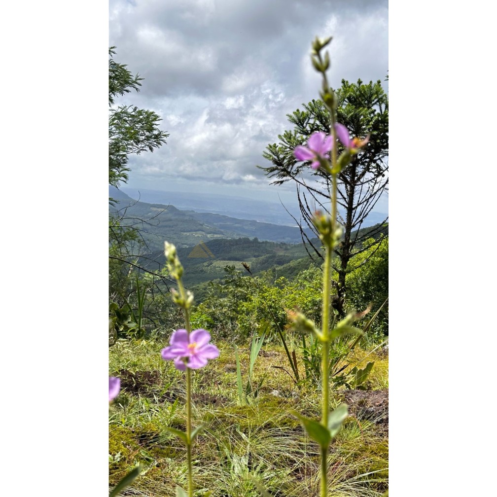 Terreno à venda, 1000m² - Foto 2