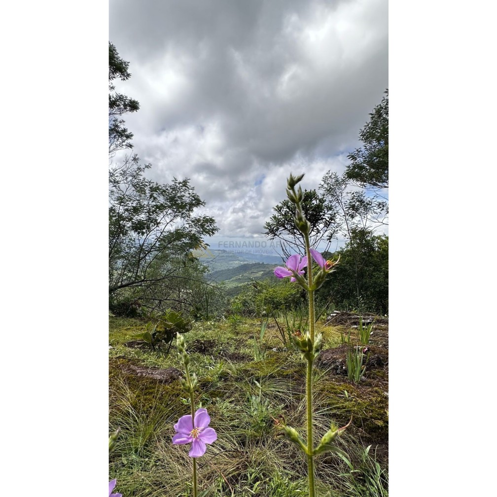 Terreno à venda, 1000m² - Foto 4