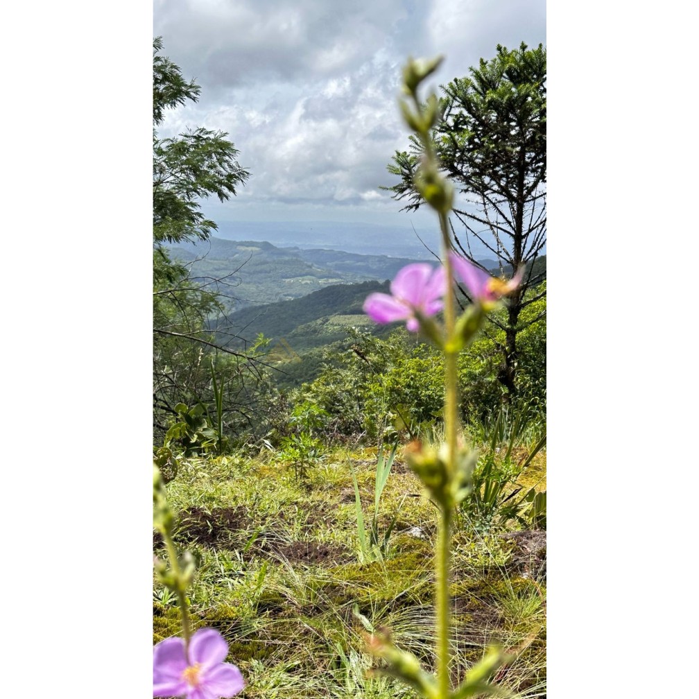 Terreno à venda, 1000m² - Foto 5