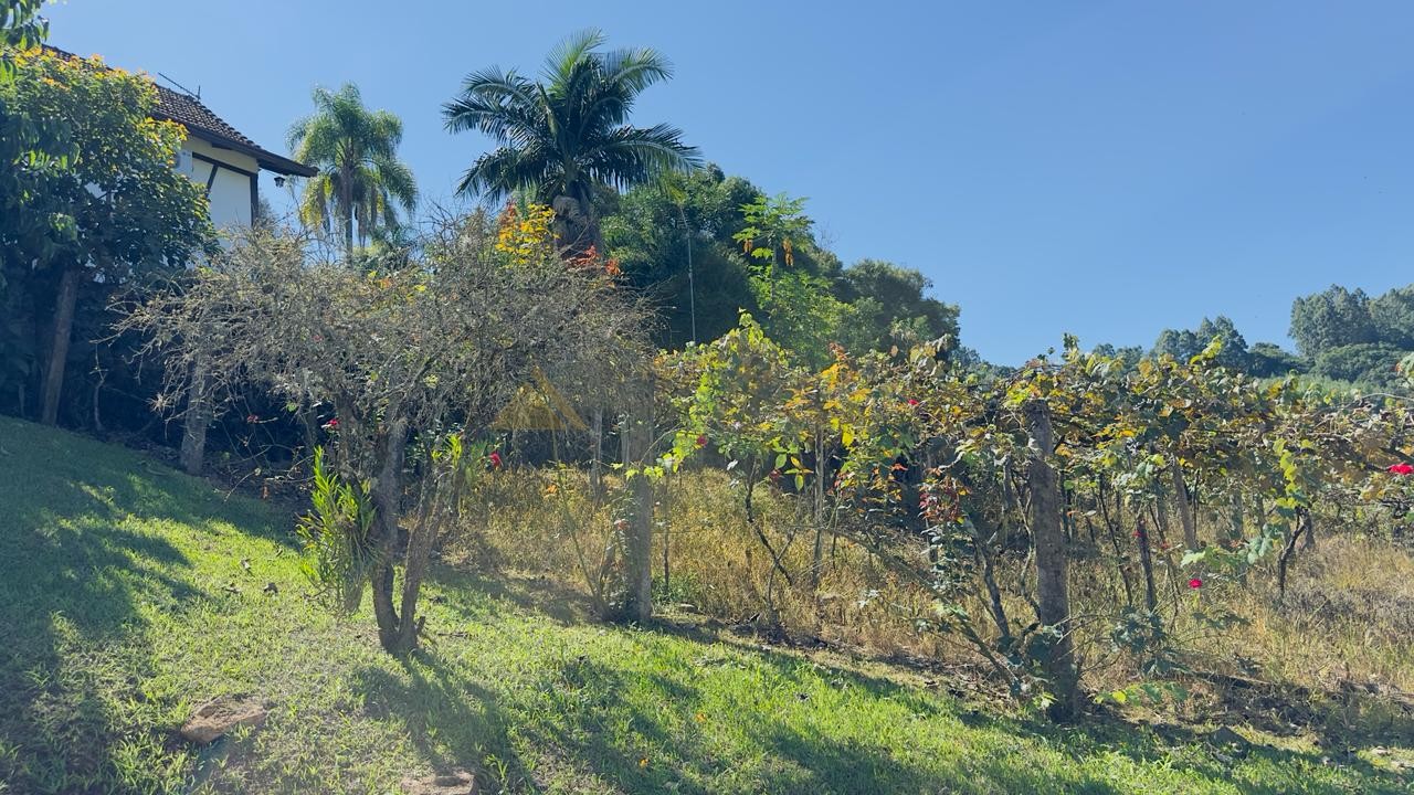 Fazenda à venda com 5 quartos, 230m² - Foto 25