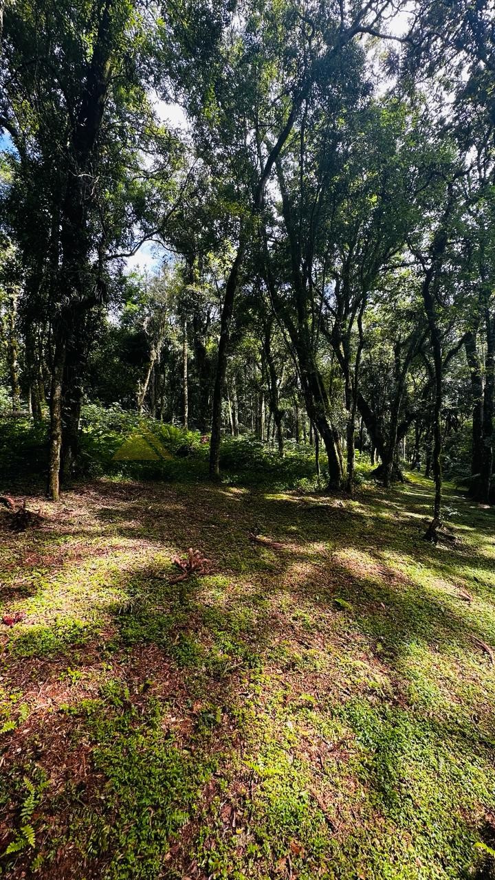 Terreno à venda, 4700m² - Foto 10