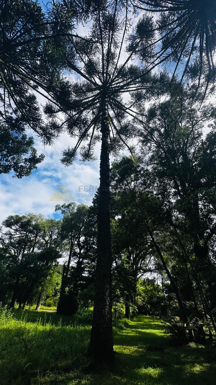 Terreno à venda, 4700m² - Foto 22