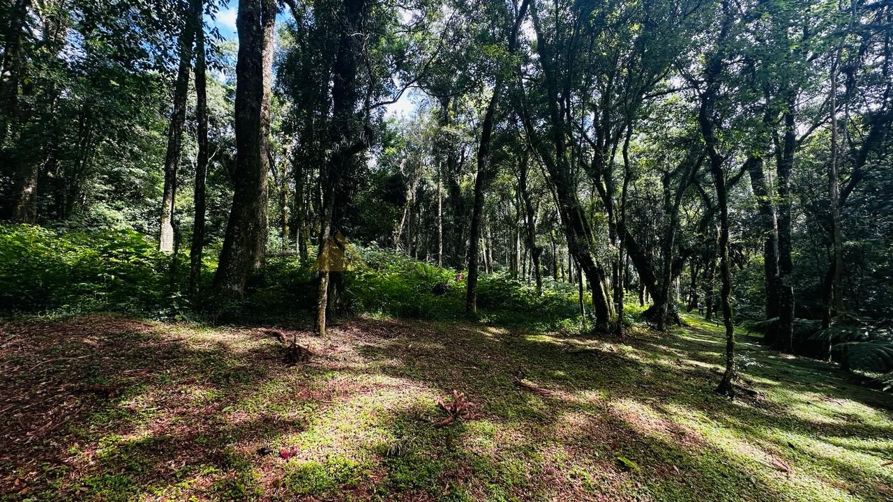 Terreno à venda, 4700m² - Foto 3