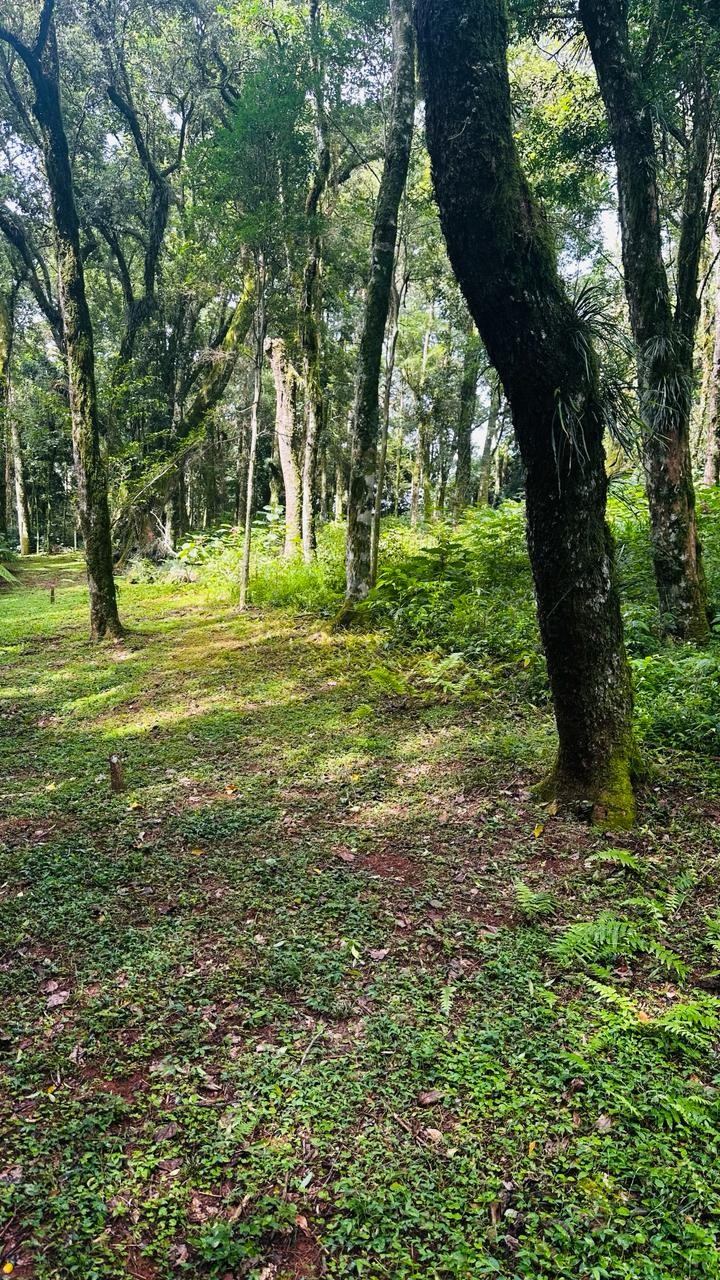 Terreno à venda, 4700m² - Foto 9