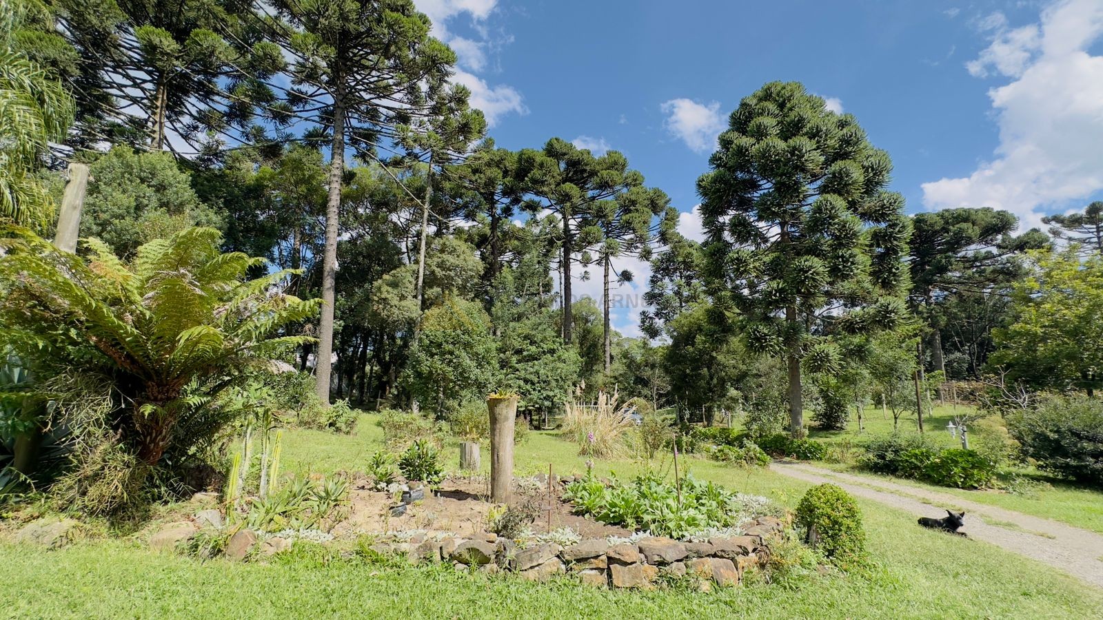 Fazenda à venda com 3 quartos, 90m² - Foto 10