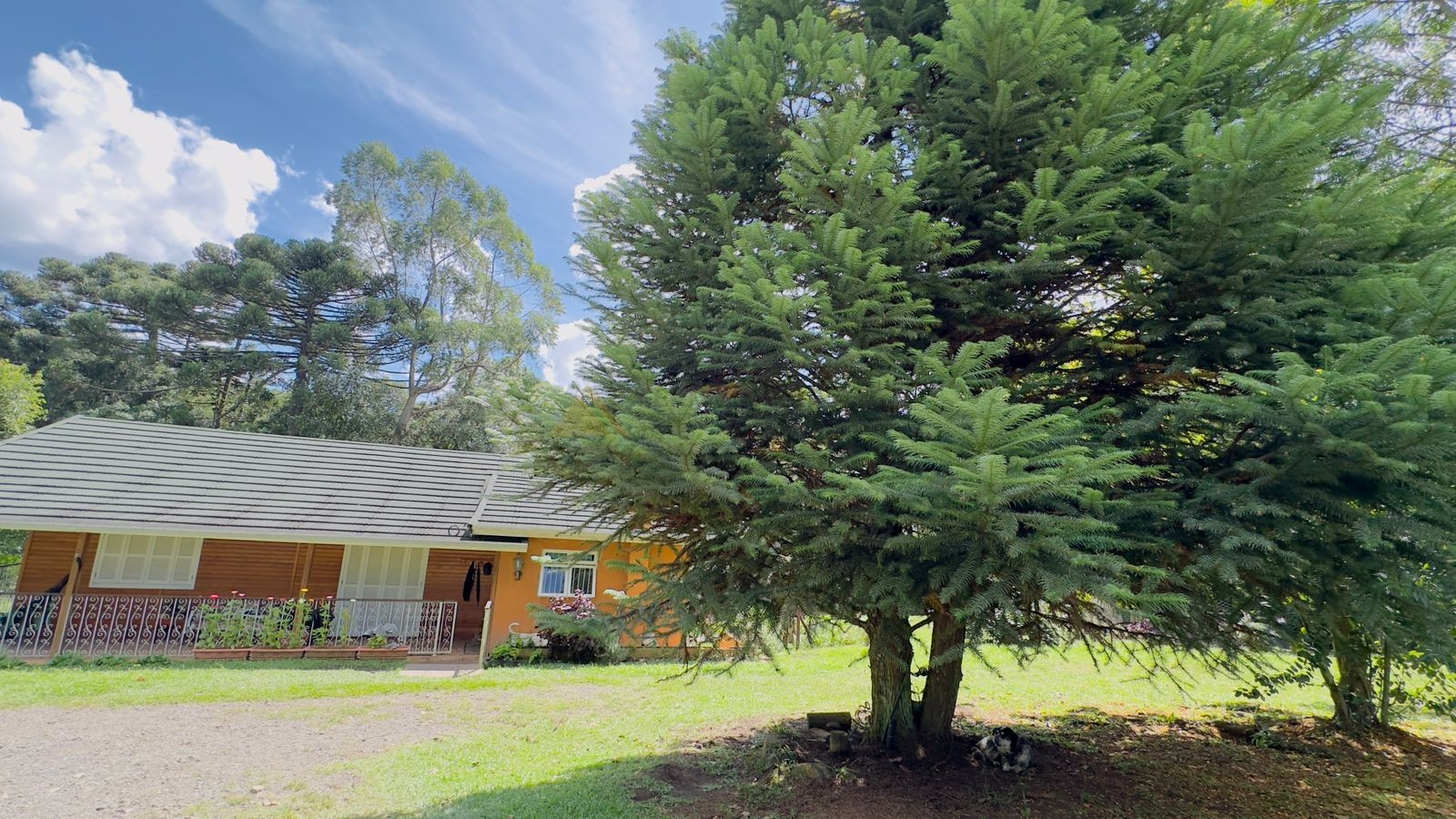 Fazenda à venda com 3 quartos, 90m² - Foto 12