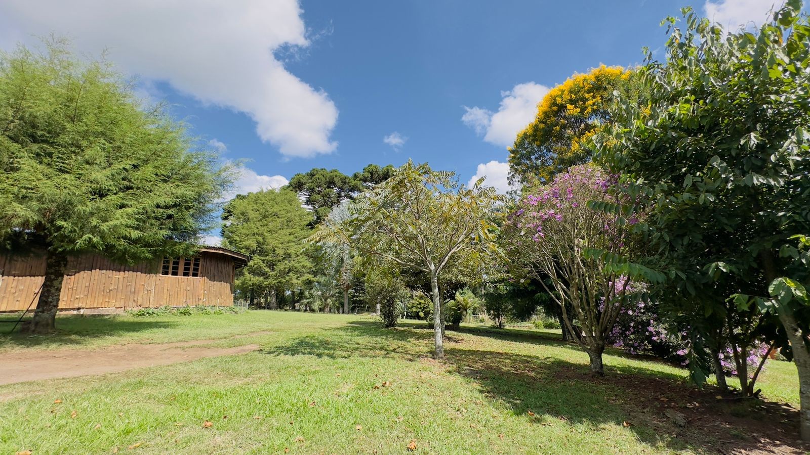 Fazenda à venda com 3 quartos, 90m² - Foto 14