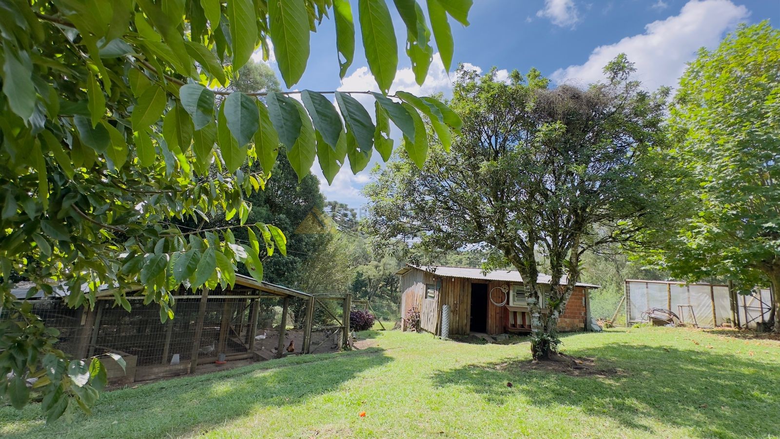 Fazenda à venda com 3 quartos, 90m² - Foto 15