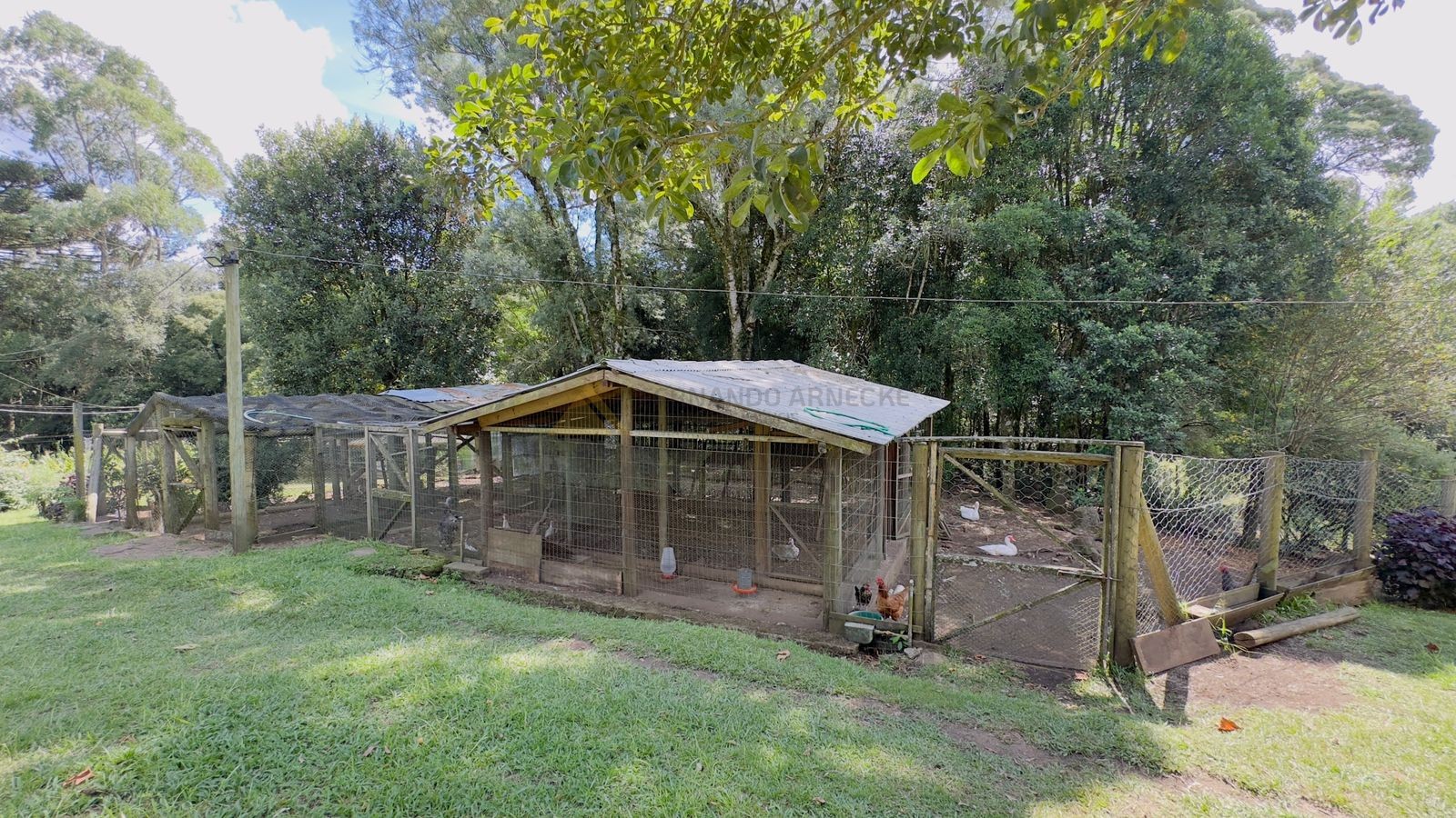 Fazenda à venda com 3 quartos, 90m² - Foto 16