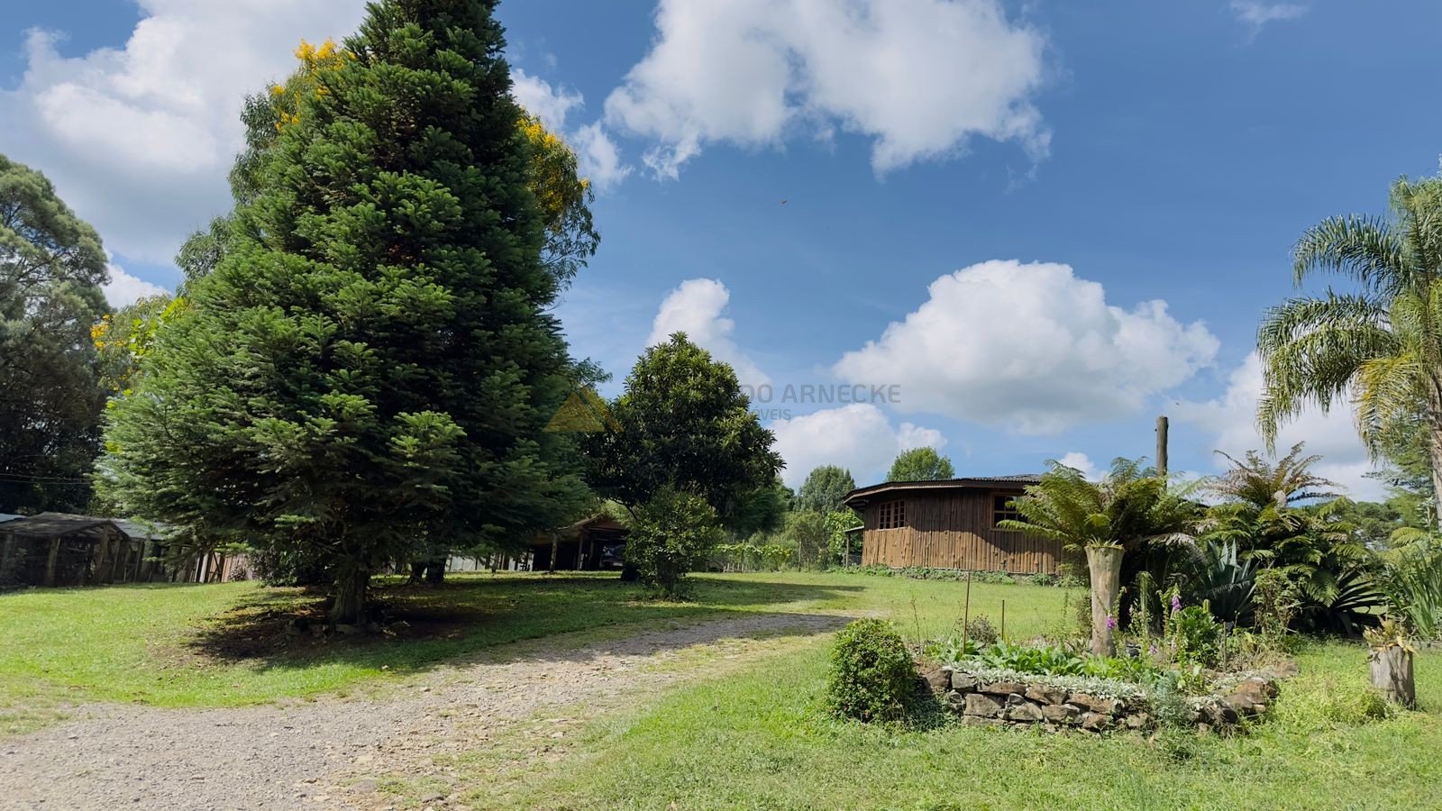 Fazenda à venda com 3 quartos, 90m² - Foto 2