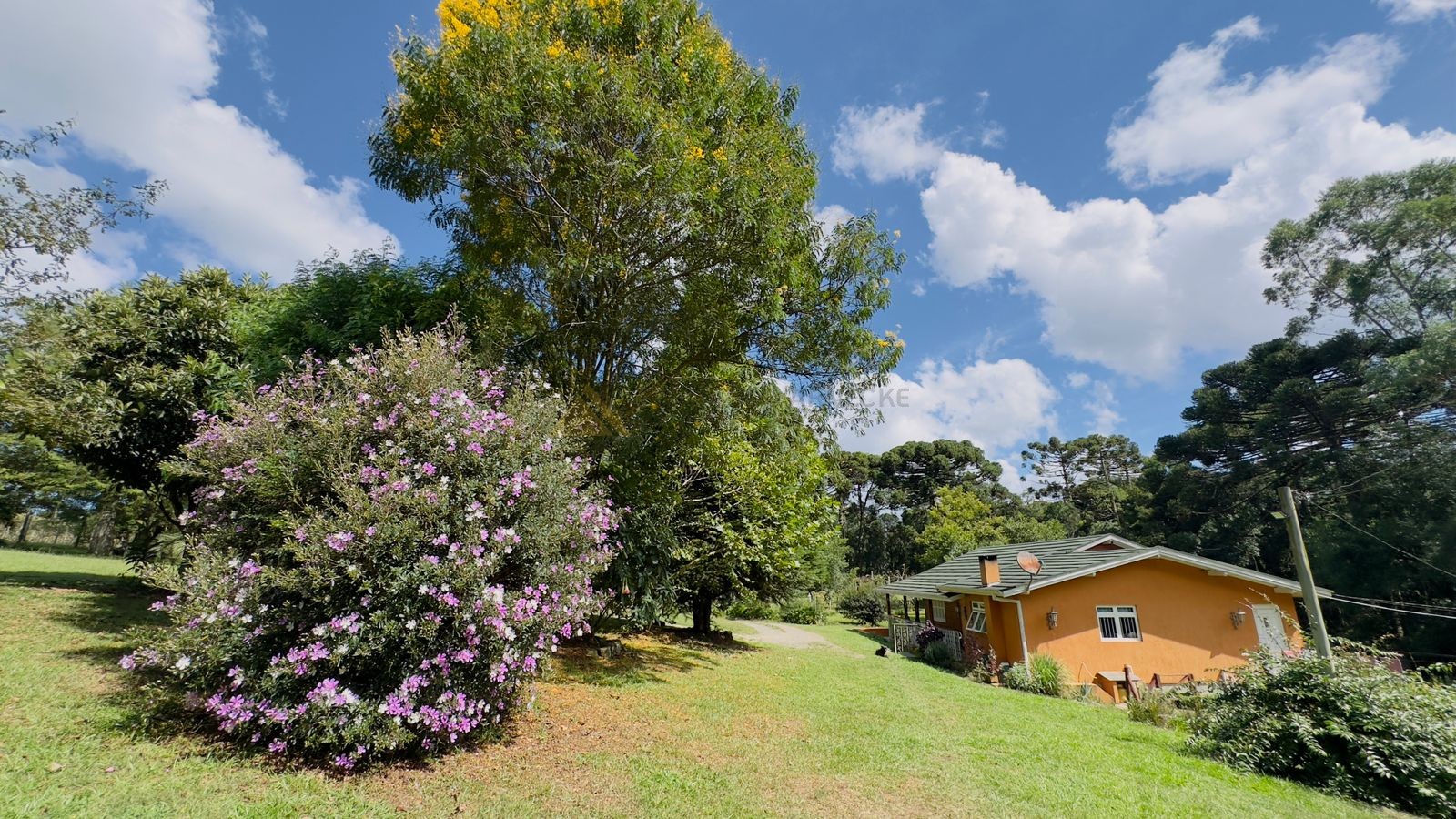 Fazenda à venda com 3 quartos, 90m² - Foto 22