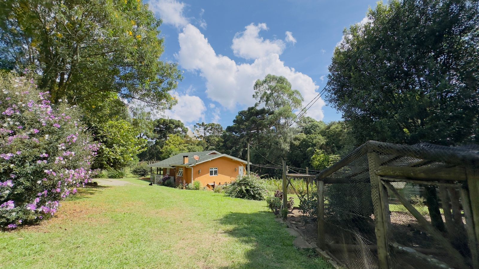 Fazenda à venda com 3 quartos, 90m² - Foto 23