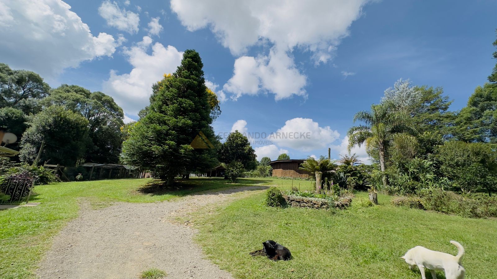 Fazenda à venda com 3 quartos, 90m² - Foto 3