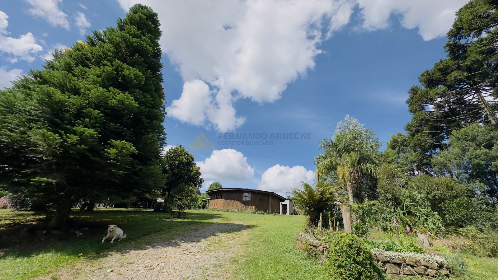 Fazenda à venda com 3 quartos, 90m² - Foto 6