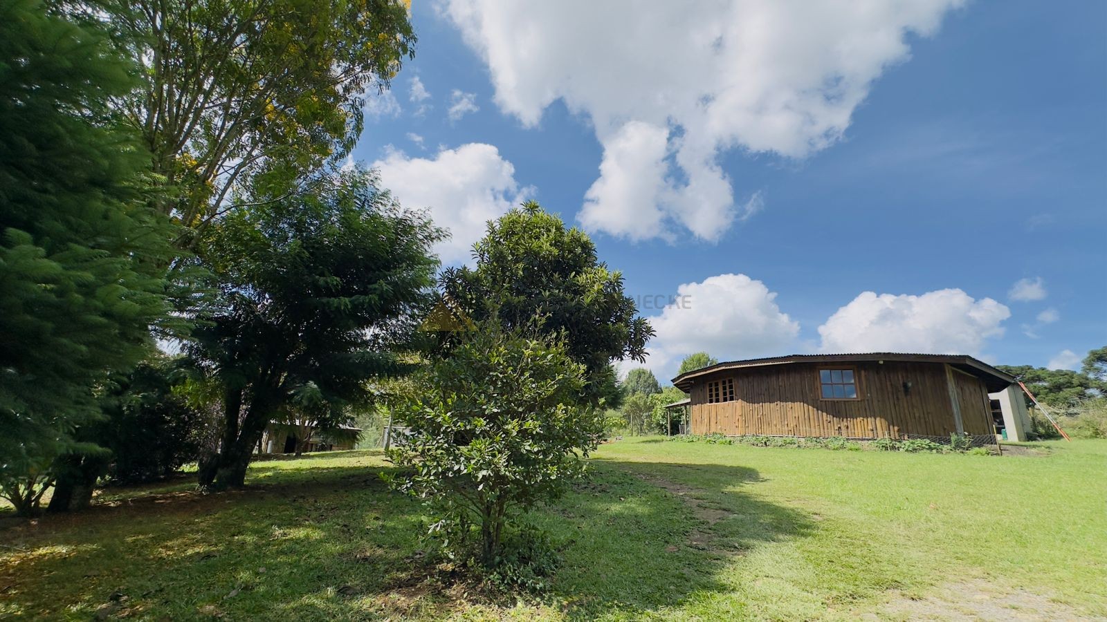 Fazenda à venda com 3 quartos, 90m² - Foto 7