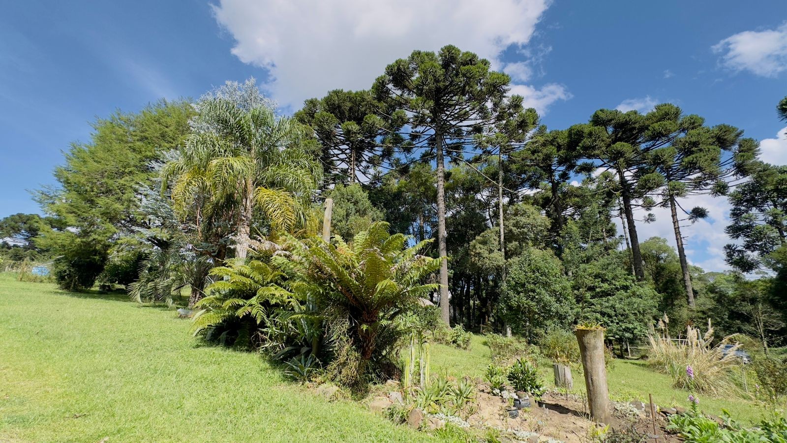 Fazenda à venda com 3 quartos, 90m² - Foto 9