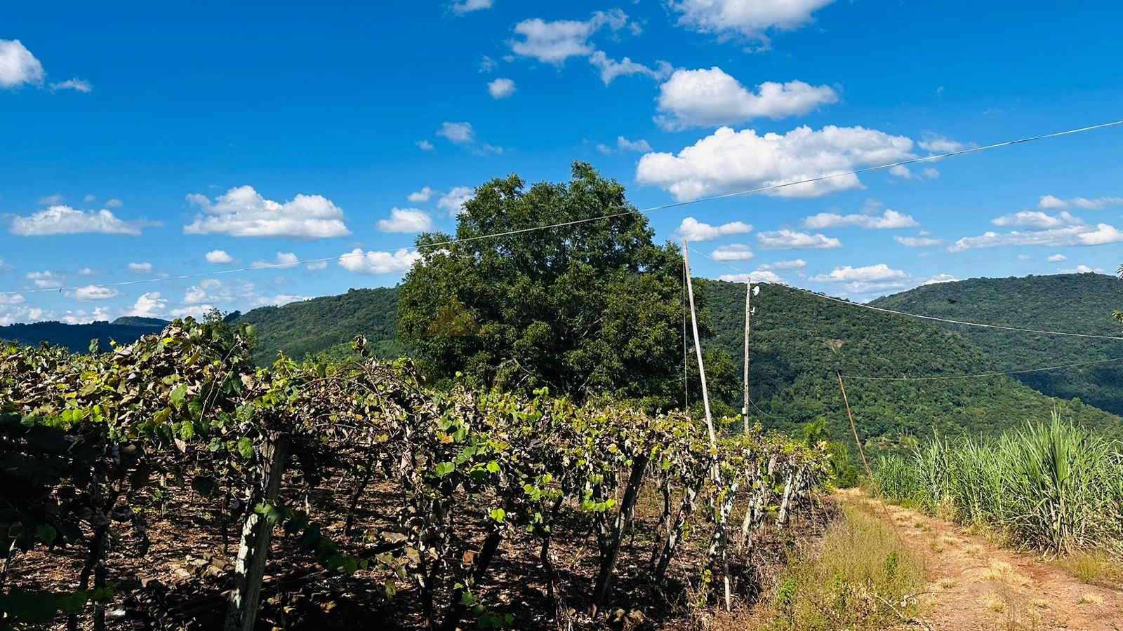 Fazenda à venda, 41584m² - Foto 13