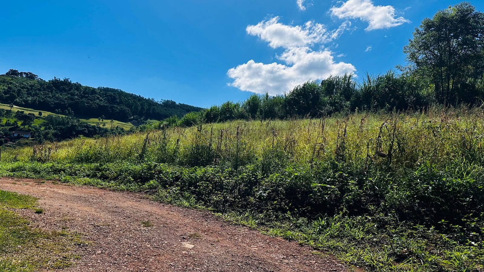 Fazenda à venda, 55000m² - Foto 1