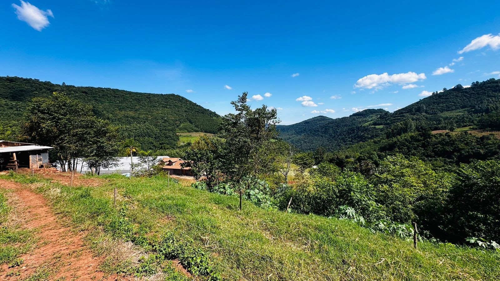 Fazenda à venda, 55000m² - Foto 10