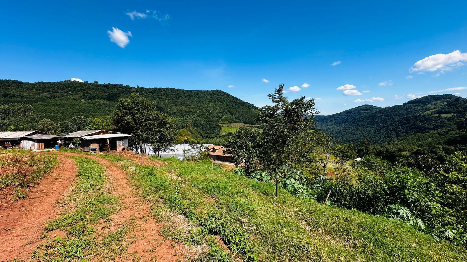 Fazenda à venda, 55000m² - Foto 11