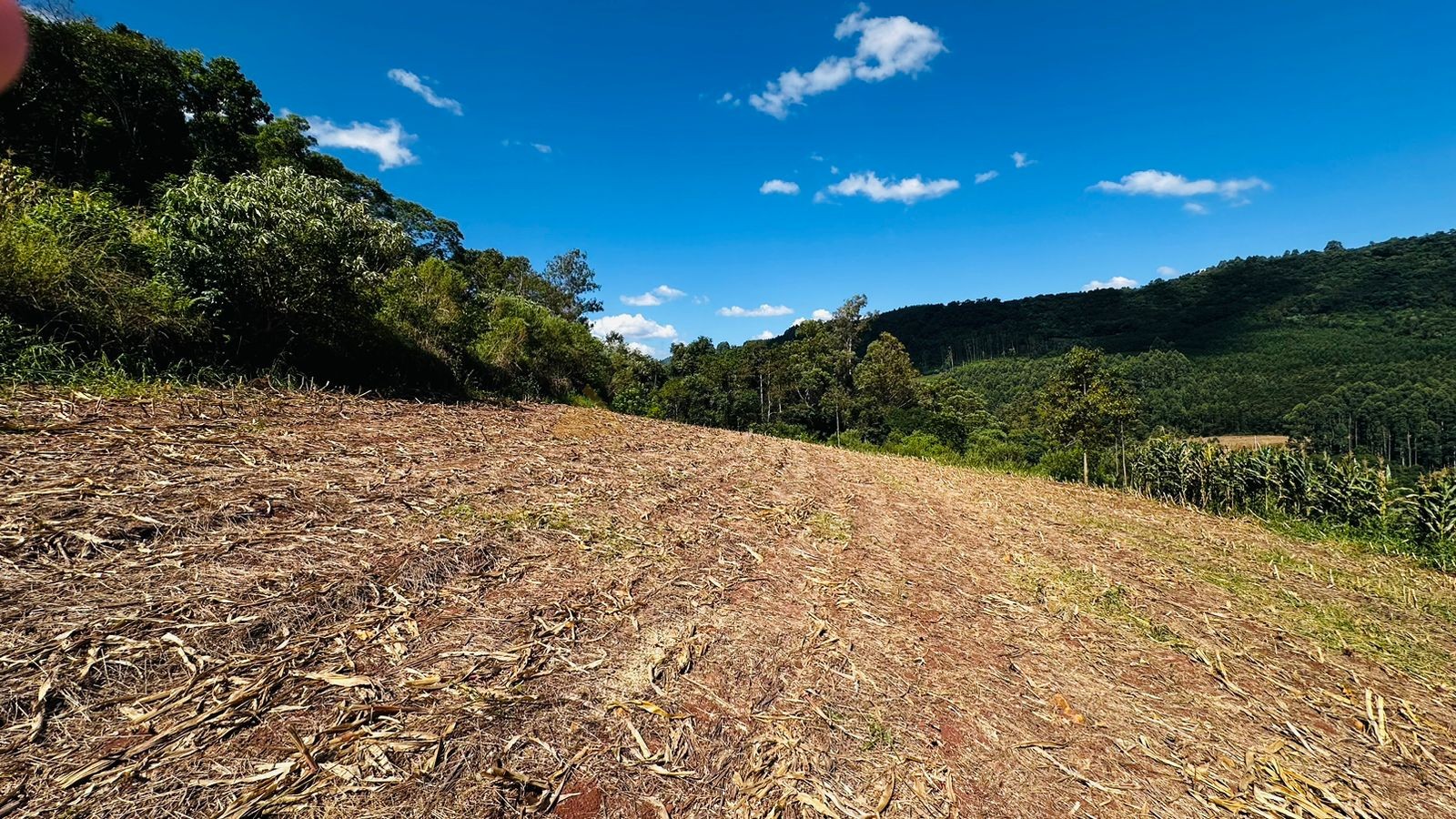 Fazenda à venda, 55000m² - Foto 12