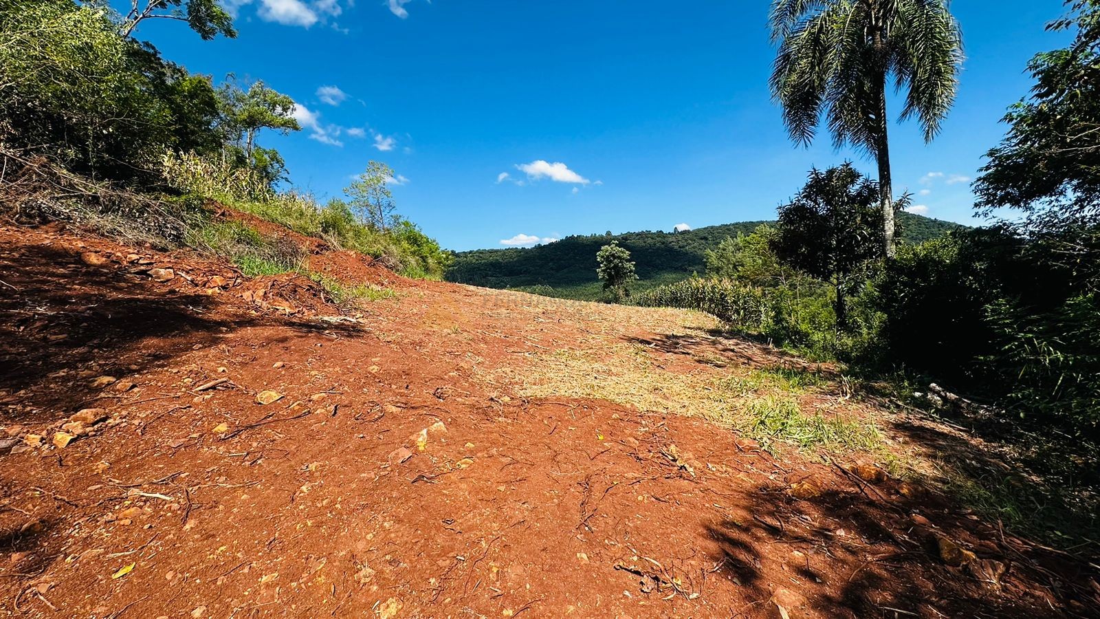 Fazenda à venda, 55000m² - Foto 13