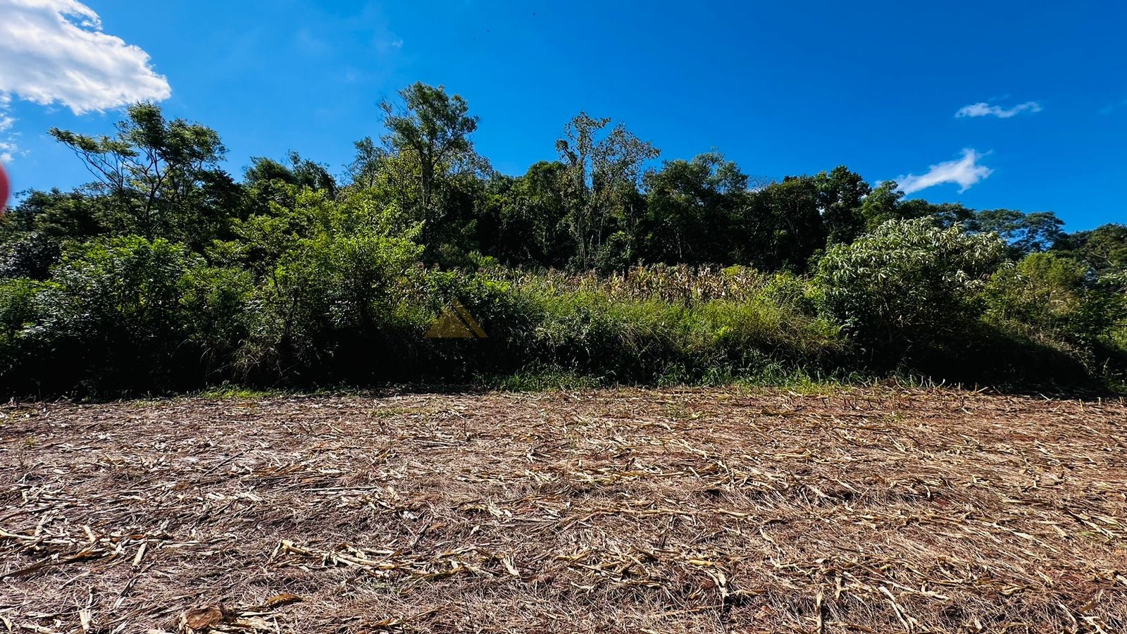 Fazenda à venda, 55000m² - Foto 14