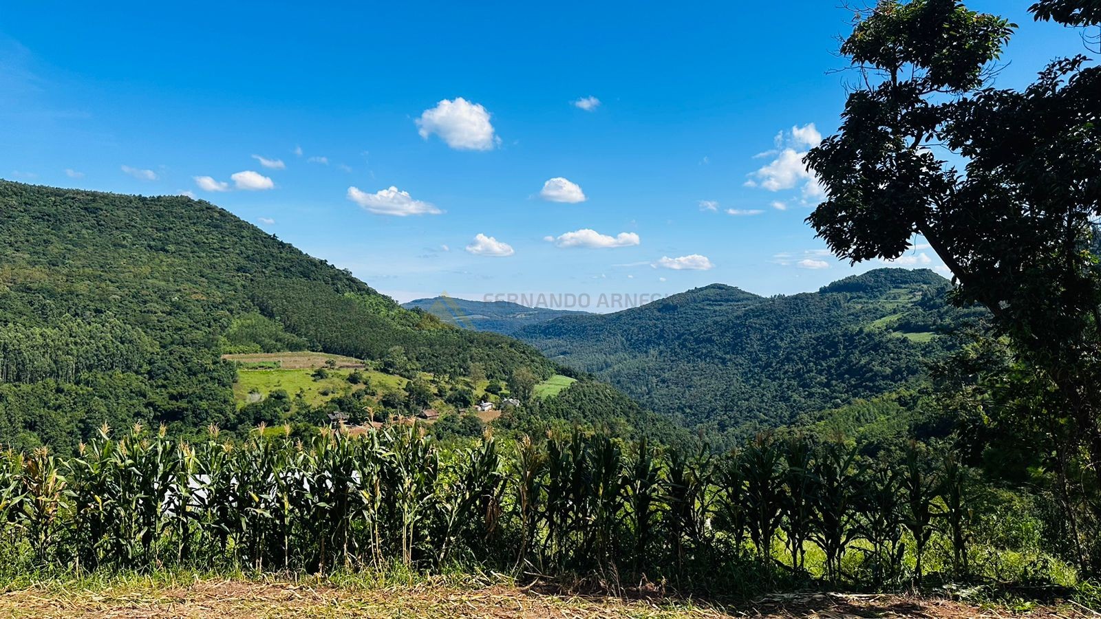 Fazenda à venda, 55000m² - Foto 15